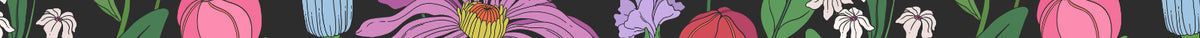 floral banner divider for the Handsome Panther website