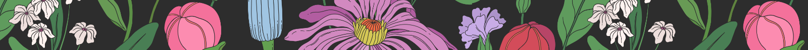 floral banner divider for the Handsome Panther website