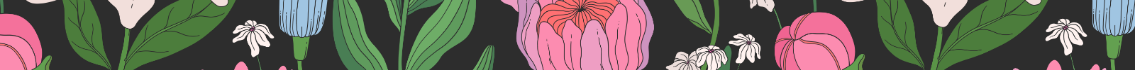 floral banner divider for the Handsome Panther website