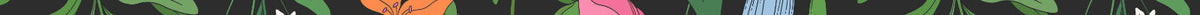 floral banner divider for the Handsome Panther website