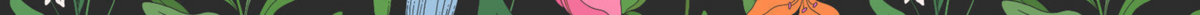 floral banner divider for the Handsome Panther website